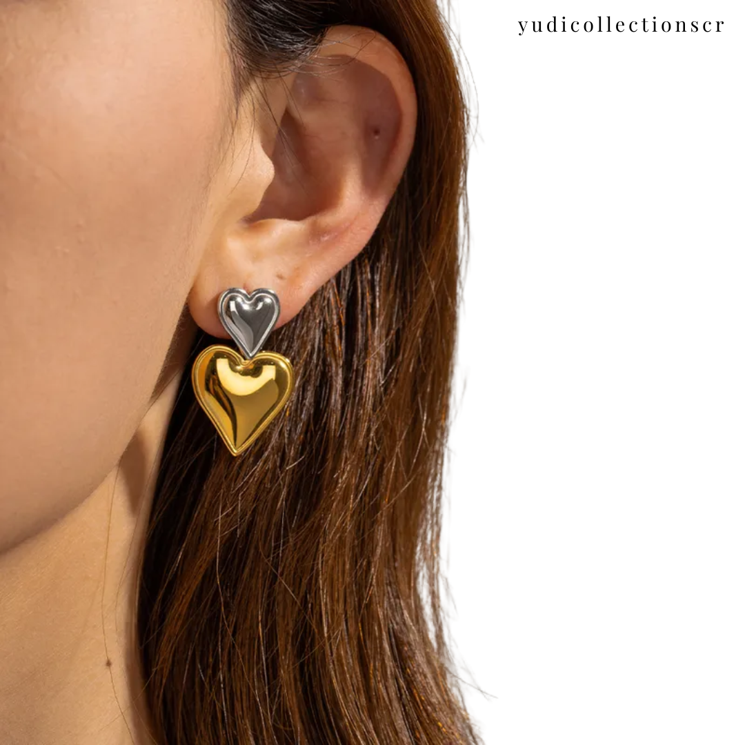 Aretes "Febrero 151"